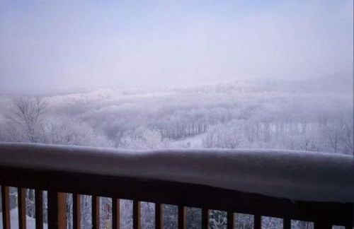 Winterplace Ski in Ski out condo First Floor D105 - Foto 20