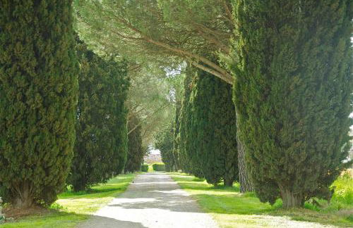 Morami Wine Agriturismo - Foto 7