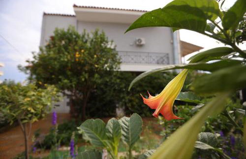 House in riviera lagonisi - Foto 37