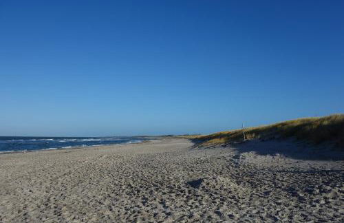 Amare Dierhagen - Foto 10