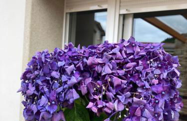 Apartamentos Currás en Touriñán - Foto 51