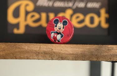 Gîte les violettes - Foto 12