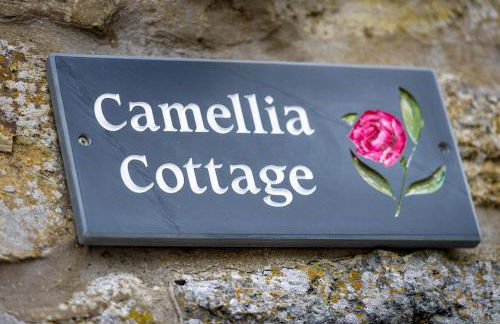 1 Bed in Llanbedrog oc-camell - Foto 14