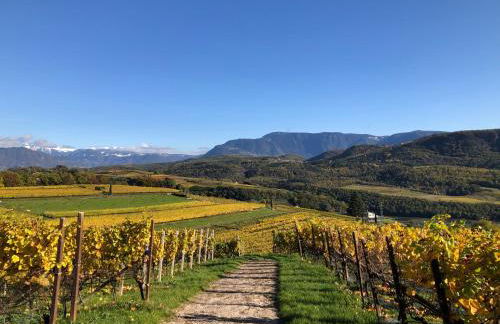 DAS MATSCHER Residence & Garden Hotel - Foto 62