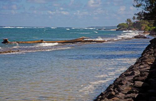 OceanFront Kauai - Harmony TVNC 4247 - Foto 39