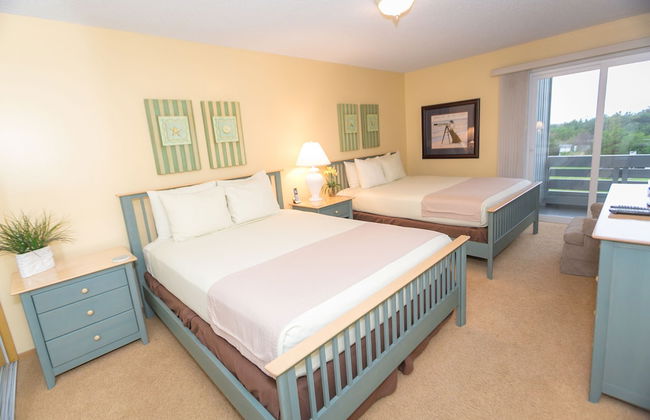 The Grey Gull - Foto 16