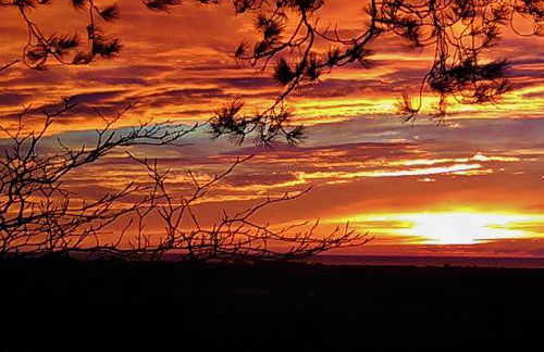 Sea Moss Cabin - Foto 44