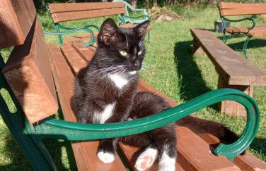 Agroturystyka AMiG - Foto 22