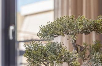 K35 Apartments - Foto 39