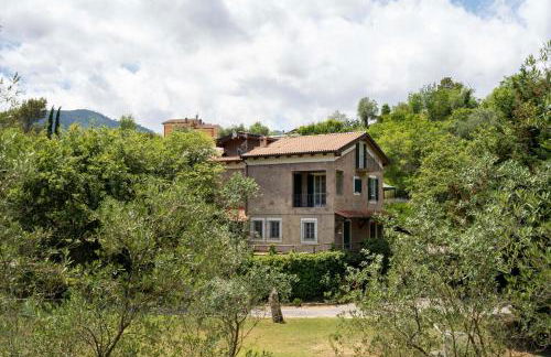 Il Giardino del Sole - Lavanda - Foto 21