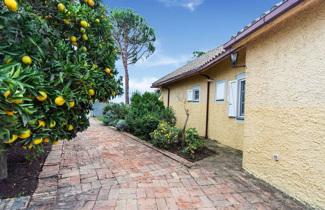 Beautiful Holiday Home in Ardea With Garden - Foto 36