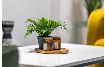 A Splash of Color: Spacious & Funky 3-BR Flat - Foto 34