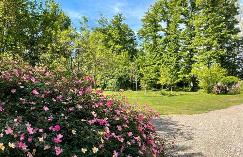 Palazzo Minelli - Foto 40