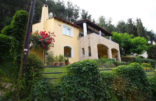 Six Steps From The Forest - Photo 1