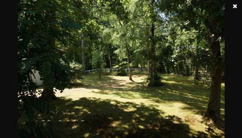 Maison d'architecte en forêt du Touquet - Foto 4, Garden