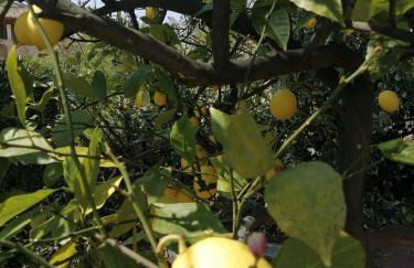 Casale San Martino Agriturismo Bio - Foto 32