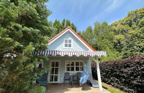 Kwiat Paproci - Foto 60