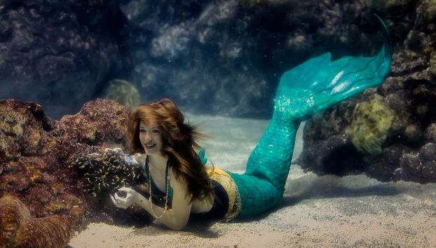 Sirena en el Downtown Aqurium