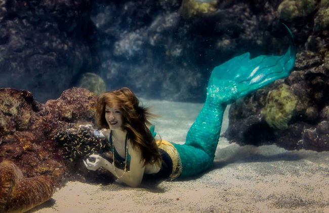 Denver CityPASS® - Photo 2