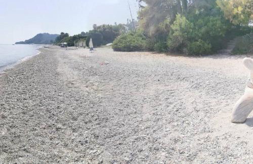 Απέραντο γαλάζιο Le grand blue - Foto 8