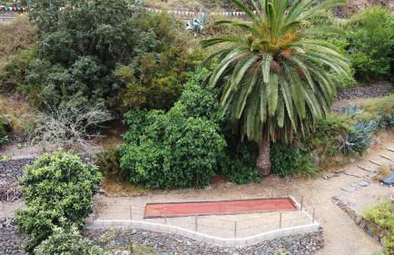 Casa Rural Finca la Maleza - Foto 77