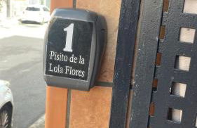 Pisito de la Lola Flores - Foto 19