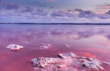 Palm Apartment - La Calma - Foto 44