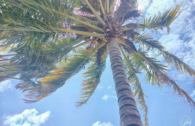 Grand Bay Suites - Foto 31