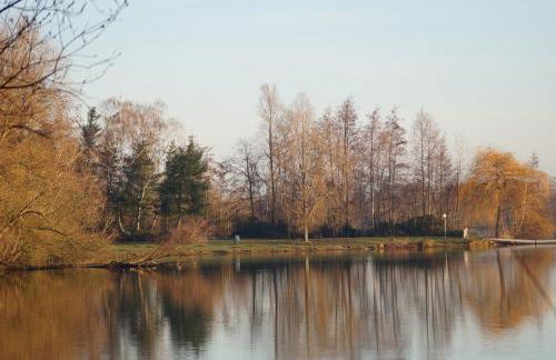 Ferienwohnung Casa Di Lago 2 - Foto 27