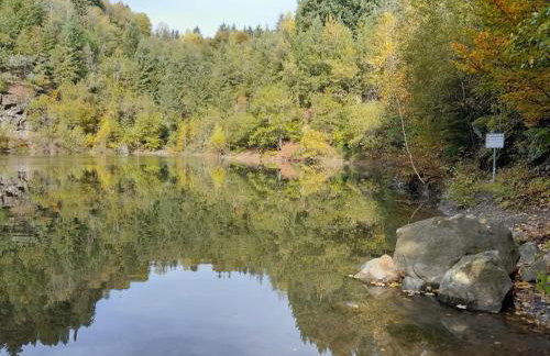 Fewo Waldtherme Relaxen, wandern, Radfahren - Foto 20