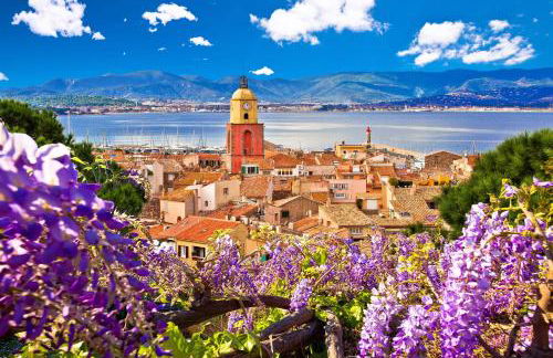 Les Néfliers - Foto 54