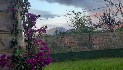 La casa de abajo - Foto 4