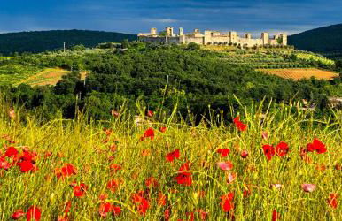 La Casa Di Chi - Foto 16