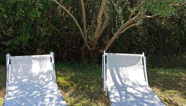 Villa Siena Bio Agriturismo private pool - Foto 5, Garden, sunbed, Garden view