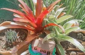 Casa acomodação em Araruama - Foto 33