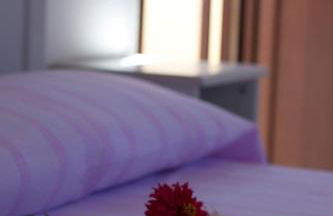 Agriturismo Tenuta La Siesta - Foto 40