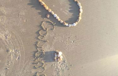 CasaMoitas - Foto 29