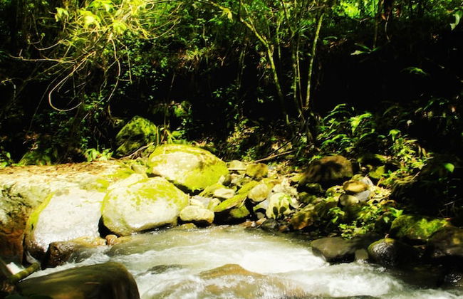 Eco hotel primavera - Foto 1