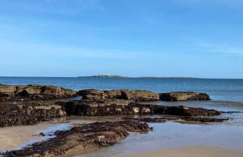 Honeysuckle Cottage - Photo 30