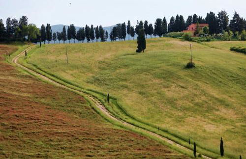 Podere Quercia al Santo - Foto 33