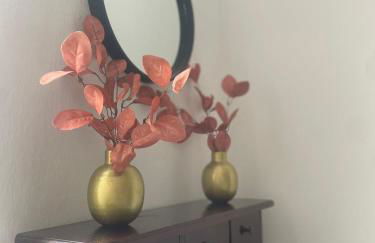 Rossese di sera - Foto 13