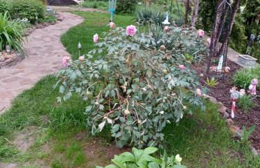 Stadtvilla Nichterlein - Ferienwohnung Nr 3 - Foto 18