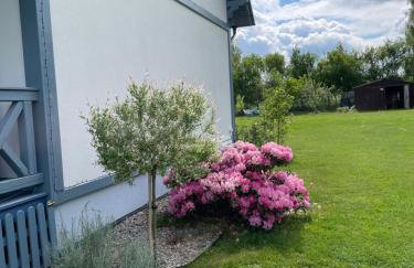 Niebieski Domek - Foto 66