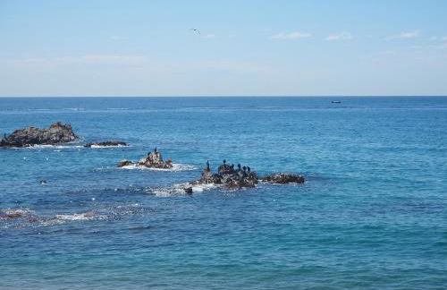 APARTAMENTO MAR I CEL - Photo 45