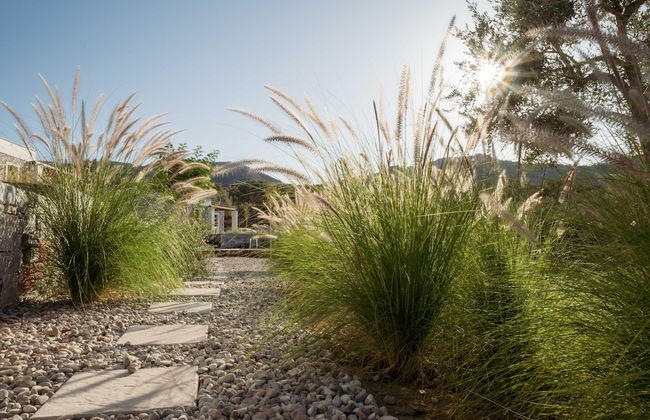 Elies Residences - Photo 44