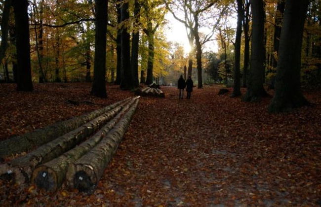 Superb Villa in the Woods of Gaasterland With Wifi and Fireplace - Foto 26