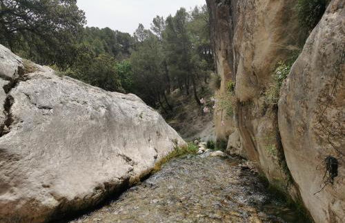 Saluda Alta - Foto 77