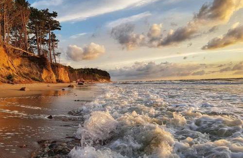 Domki BIAŁA MEWA - Foto 5