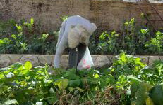 Seoska idila, Krivići - Foto 43