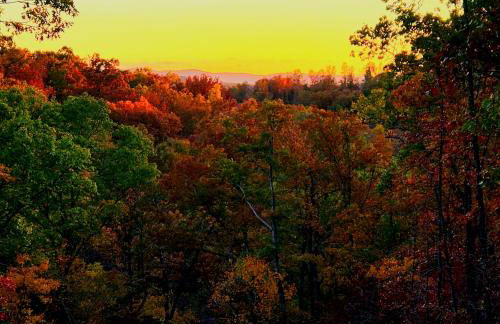 The Windstorm Cabin - Pet-friendly & a 2-person Jacuzzi hot tub! - Foto 13